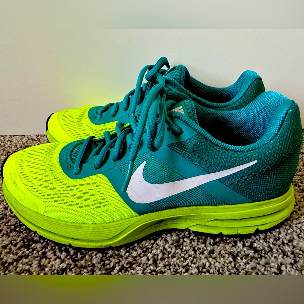 Nike Walking/Running shoe.